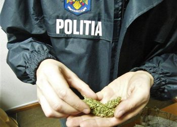 Flagrant și percheziții într-un dosar de trafic de droguri