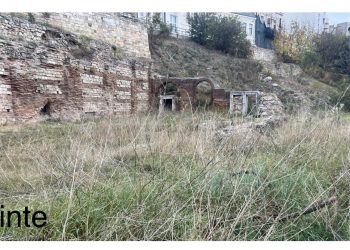 Termele Romane din Constanța scapă de buruieni 