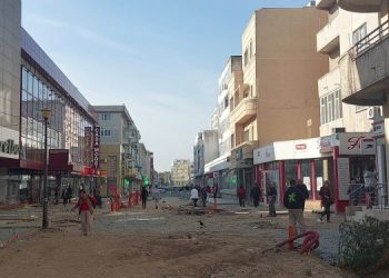 Felicia Ovanesian: „Deci da, nu lucrează nimeni”. De ce nu este înlocuită firma care se ocupă de lucrările de pe Ștefan cel Mare