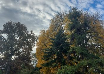 Vine sau nu iarna? Cum va fi vremea în următoarele două săptămâni