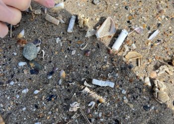 Plaje mai curate pe litoralul românesc!