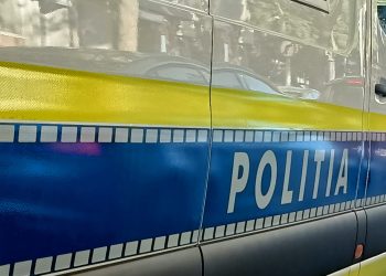 Reținuți pentru furt de animale, cereale și materiale de construcții