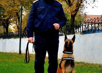 Coleg de 10 la Jandarmeria Tulcea