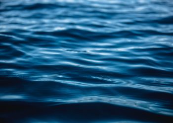 Bărbat dat dispărut, găsit mort în canal după o săptămână