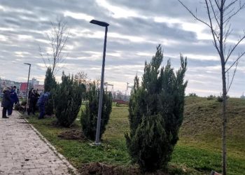 Mangalia vrea un Registru al Spațiilor Verzi 