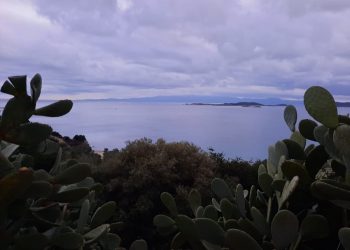 FOTOREPORTAJ: Ce se întâmplă pe litoralul Greciei, înainte de Crăciun