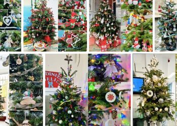 S-au ales câștigătorii concursului „Brăduțul Magic”