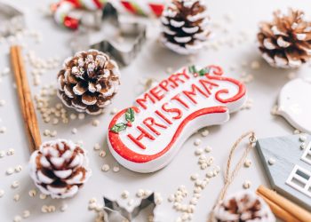 Crează-ți bradul dorit! Ce poți transforma în decorațiuni eco pentru Crăciun?