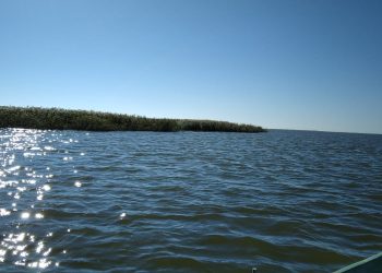 A fost publicat Ordinul privind stabilirea perioadelor și zonelor de prohibiție a pescuitului