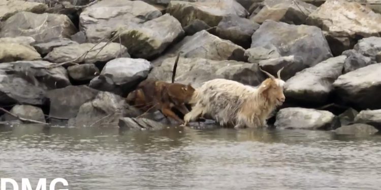 Sursă foto: Facebook - Gabriel