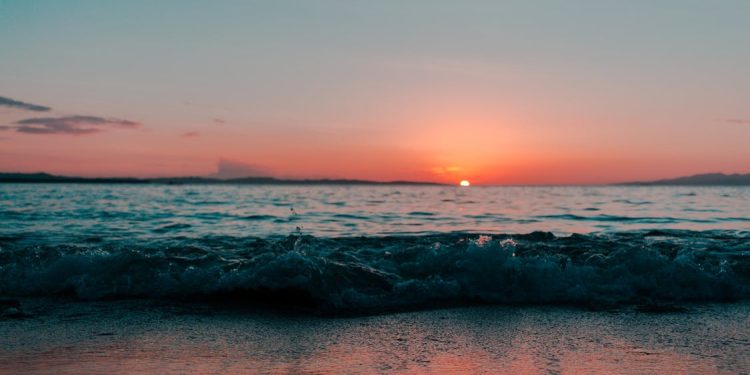 sursa fotoȚ pexels.com