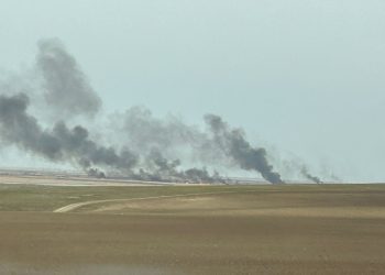 Un nou incendiu de vegetație în județul Tulcea. Misiune riscantă pentru salvatori 