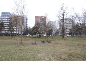 Vergil Chițac: „Reabilităm Parcul Tăbăcărie”