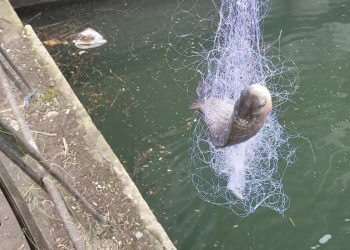 Prinși pe picior greșit la pescuit (FOTO)