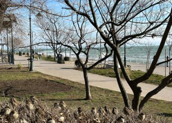 Meteorologii vin cu vești bune. Vremea se încălzește