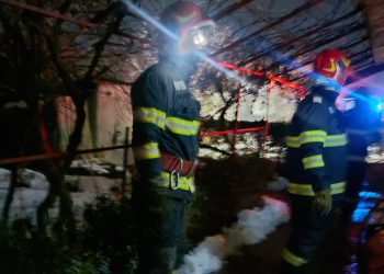 Incendiu la o locuință din Turcoaia