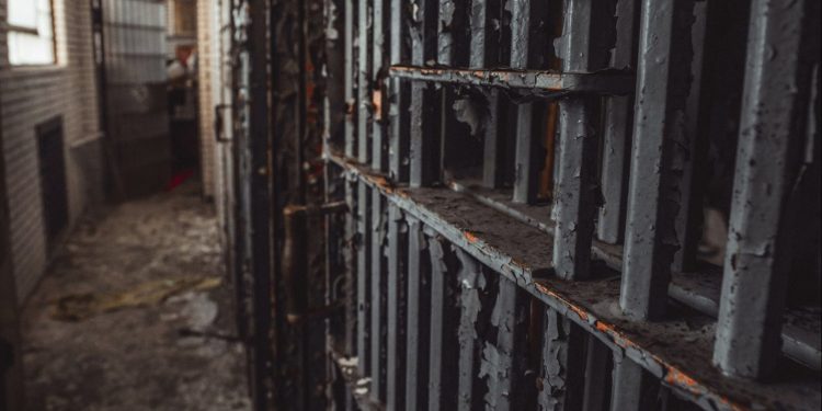 Sursă foto: pexels.com