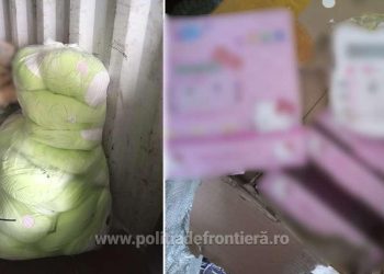 Jucării şi alte bunuri contrafăcute, găsite într-un container în port