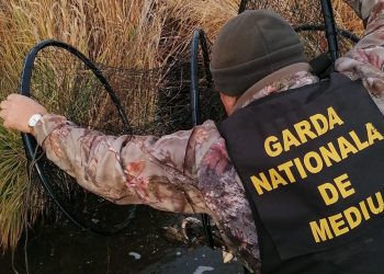 Anunț important pentru pescarii din Delta Dunării