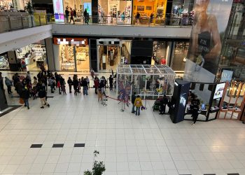 Lungul drum spre… expoziția de fluturi din Constanța (FOTO) 