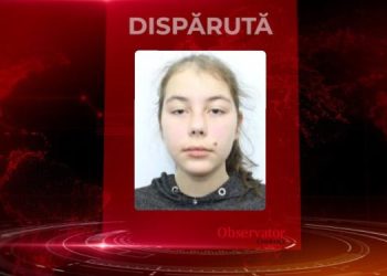 Minora dispărută din satul Mahmudia, găsită la Timişoara