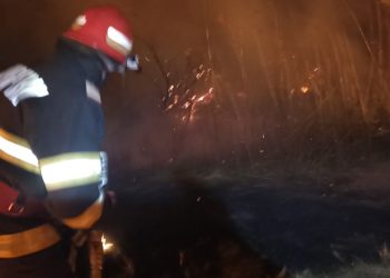 Incendiu de vegetație în județul Tulcea (VIDEO)
