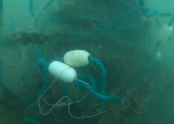 Plasele abandonate în mare, ucigașul ecosistemului marin!