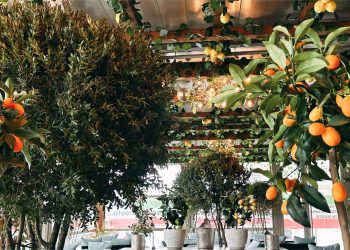 Trattoria Il Lungomare – trăiește experiența mediteraneană la malul Mării Negre