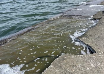 Capcana din parc. Părinți și copii, în pericol!