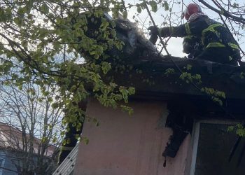Incendiu la o casă din municipiul Tulcea
