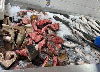 Dosare penale pentru braconaj piscicol, la Constanța