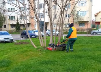Continuă curățenia de primăvară în Constanța 