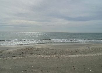 Descoperire macabră pe plaja din Eforie Sud