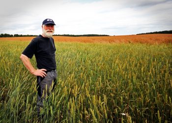 Se anunță noi proteste în România. Fermierii cer interzicerea importurilor de produse agricole din Ucraina