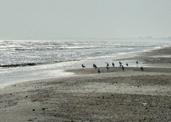 Vremea astăzi pe litoral