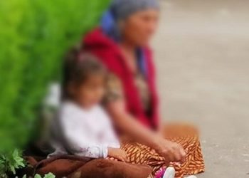 CERȘETORIA e în floare la Constanța! Localnicii și turiștii, exasperați