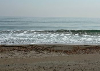 Prognoza meteo pentru ultimele două săptămâni de primăvară