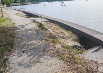 Amiralul de carton face parcul…tomberon!