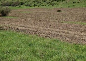 Cu tractorul în bujori. Primăria Albești, amendată de Garda de Mediu cu 30.000 de lei