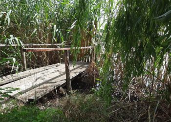 Pontoane construite ilegal, la Cernavodă