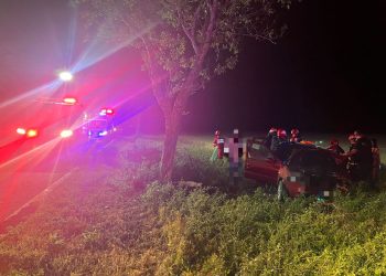 Tulcea: cu mașina în copac