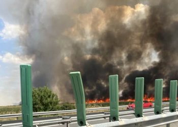 UPDATE-Incendiu de vegetație în apropiere de Autostrada Soarelui