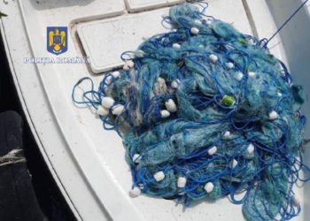 S-au ales cu dosar penal după ce au condus ambarcațiuni, fără a avea brevet