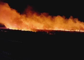 UPDATE: Incendiu VIOLENT în Poarta Albă (VIDEO)