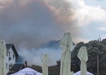 Incendiu de vegetație uscată în Eforie Sud (VIDEO)
