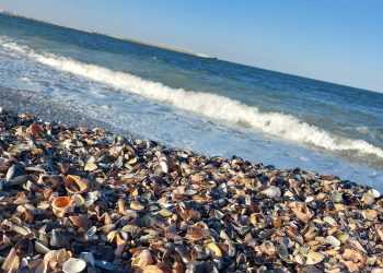 Vara toridă din Europa ar putea trimite turiştii spre locuri mai răcoroase