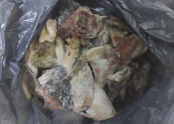 Noi controale ANSVSA pe litoral, noi amenzi 