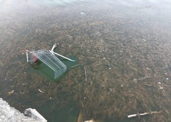 Lacul Tăbăcărie, în apele tulburi ale birocrației. Și totuși, cine e responsabil să-l curețe?! 