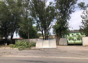 Furtuna face prăpăd la Medgidia! O stație de autobuz a fost distrusă de un copac (FOTO/VIDEO)