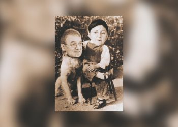 Ani Merlă sau masacrarea proiectelor lui Făgădău (Partea I)